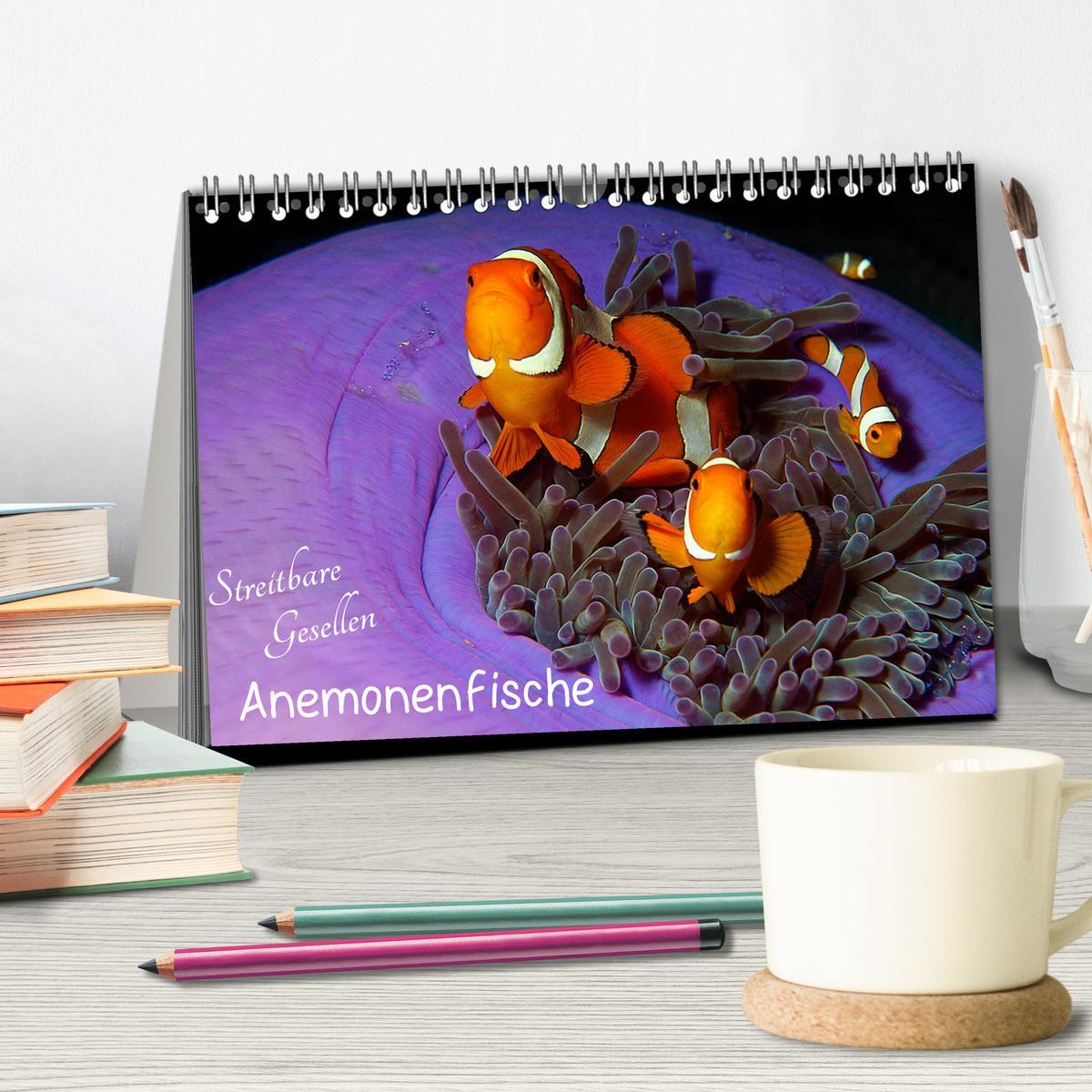 Bild: 9783435351169 | Anemonenfische - Streitbare Gesellen (Tischkalender 2025 DIN A5...