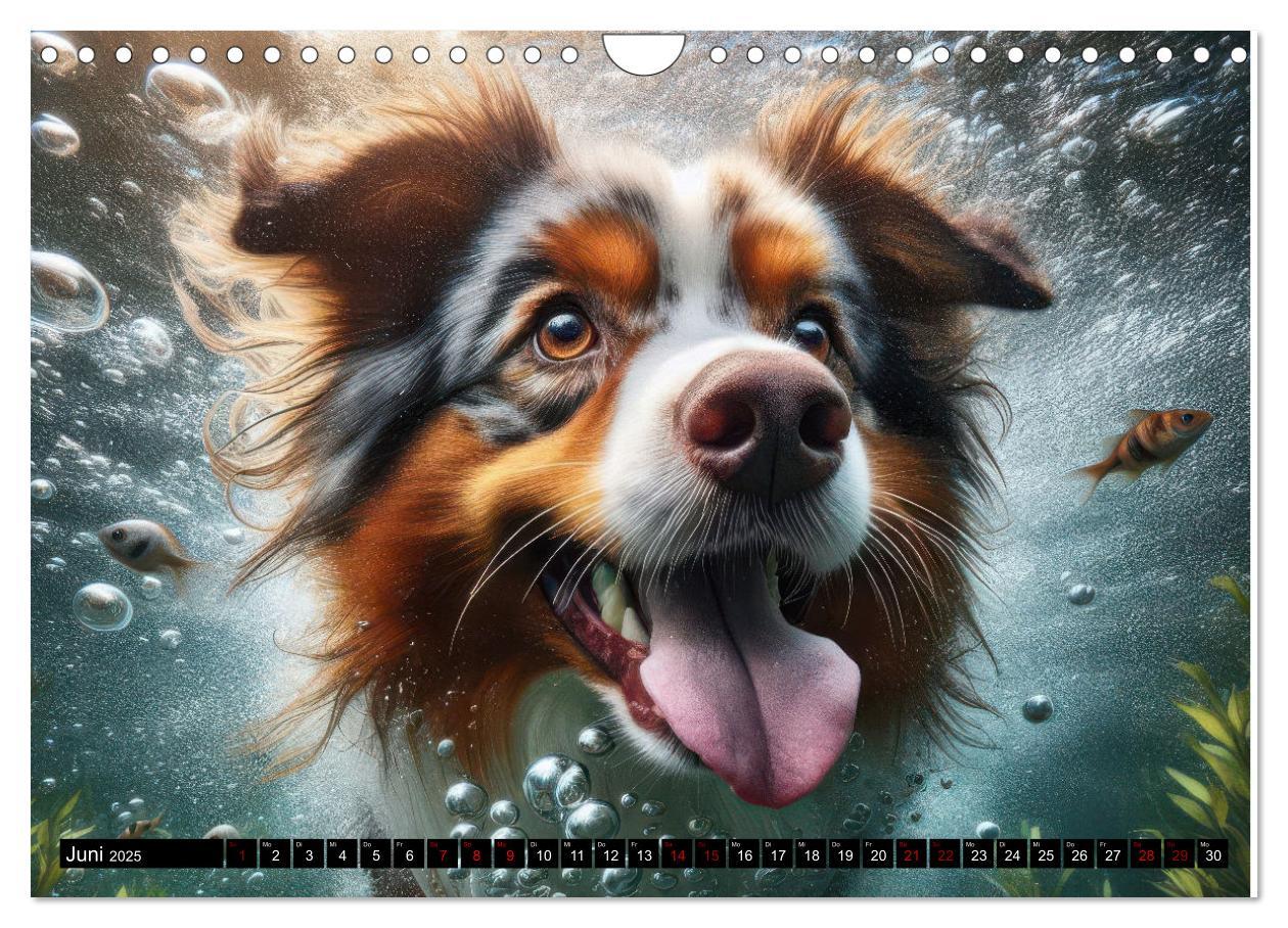 Bild: 9783457150429 | Badespaß - Hunde unter Wasser (Wandkalender 2025 DIN A4 quer),...