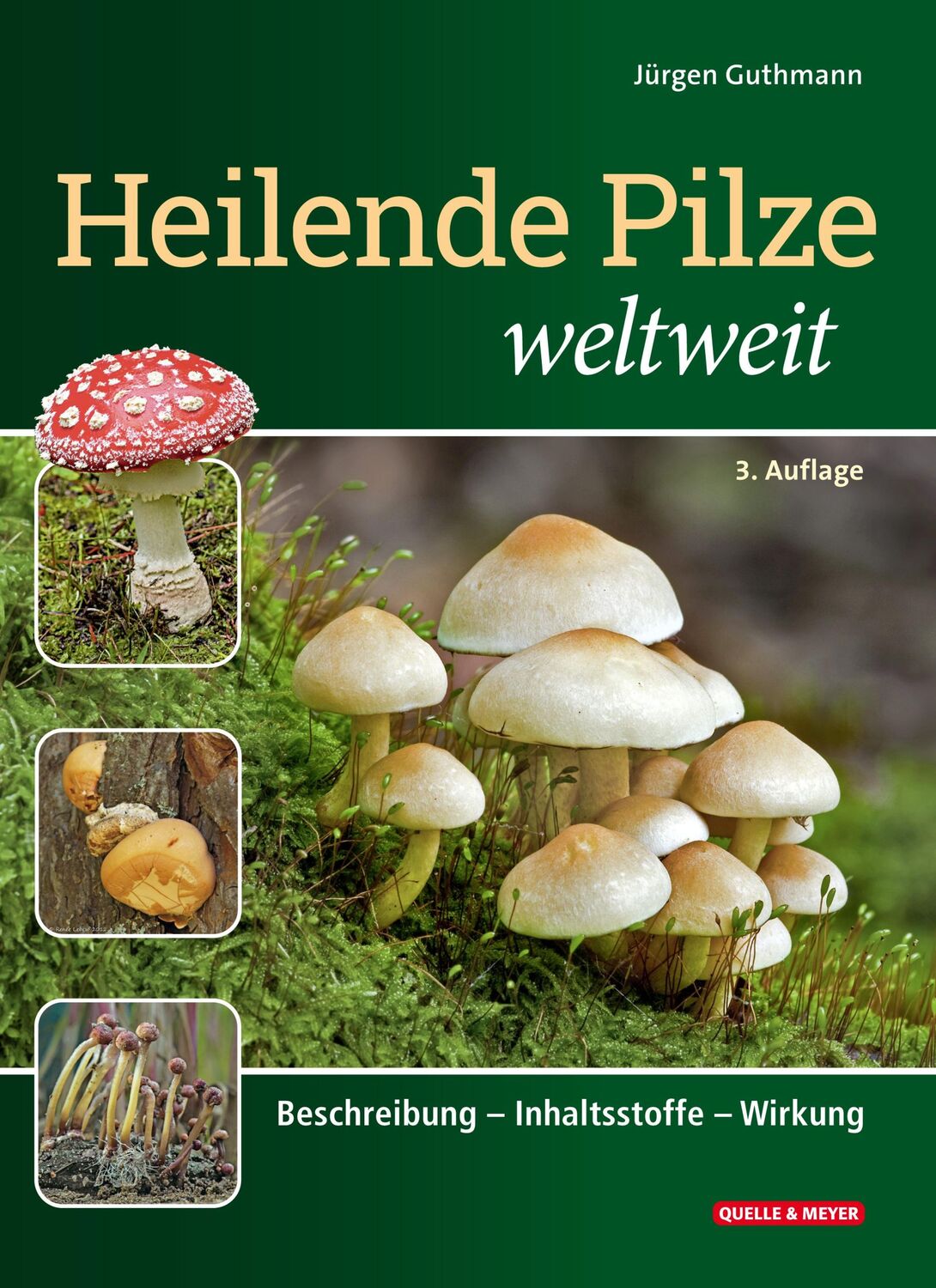 Cover: 9783494019604 | Heilende Pilze weltweit | Beschreibung - Inhaltsstoffe - Wirkung