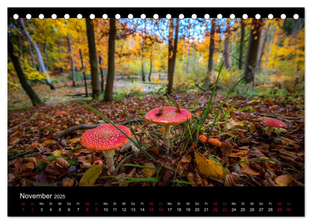 Bild: 9783435388936 | Naturwunder Norddeutschlands (Tischkalender 2025 DIN A5 quer),...