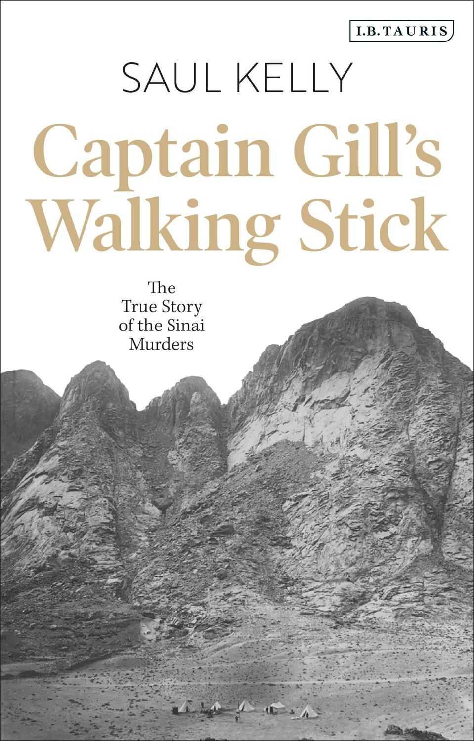 Cover: 9781784533410 | Captain Gill's Walking Stick | The True Story of the Sinai Murders