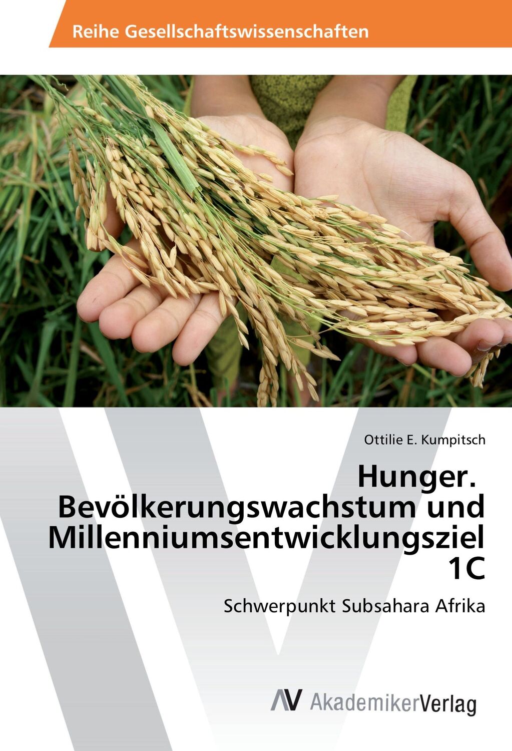 Cover: 9783639875553 | Hunger. Bevölkerungswachstum und Millenniumsentwicklungsziel 1C | Buch