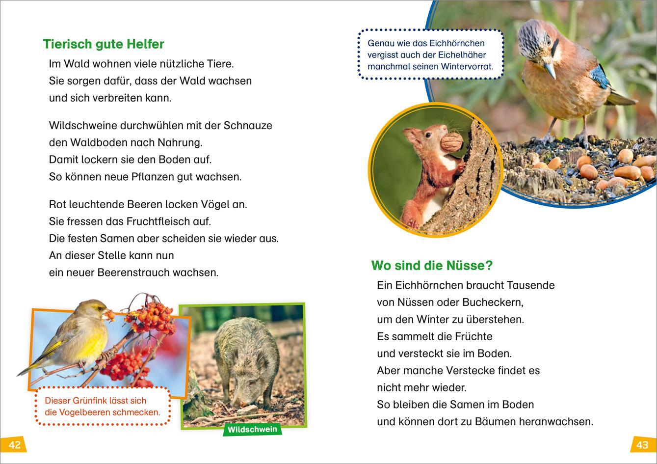 Bild: 9783788626426 | WAS IST WAS Erstes Lesen Band 6. Wald | Karin Bischoff | Buch | 64 S.