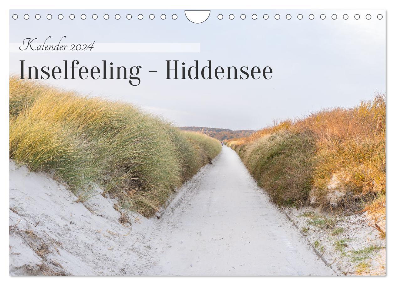 Cover: 9783383848155 | Inseelfeeling - Hiddensee (Wandkalender 2025 DIN A4 quer), CALVENDO...