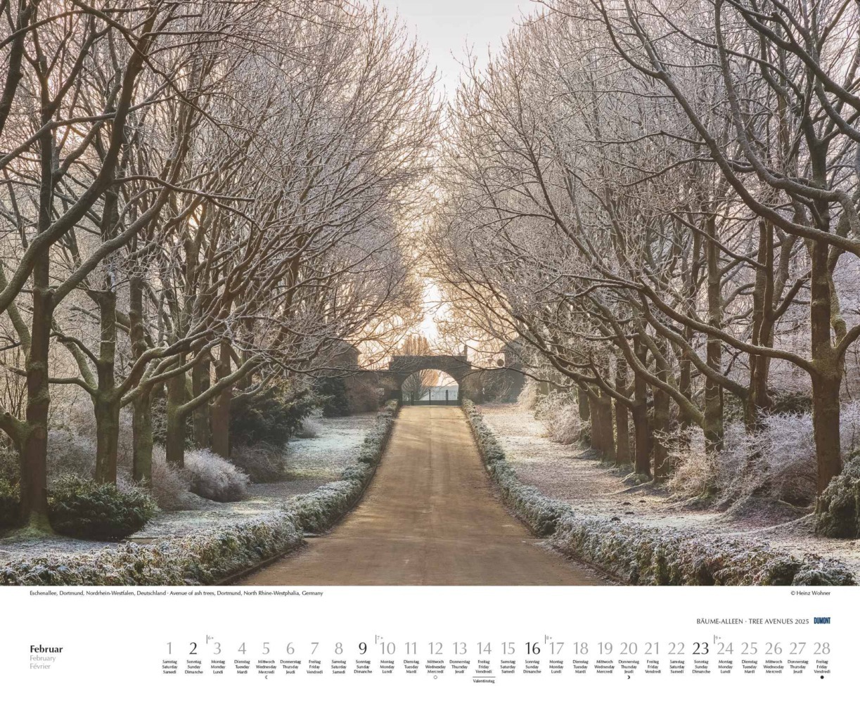 Bild: 4250809652702 | DUMONT - Bäume - Alleen 2025 Wandkalender 52x42,5cm, Kalender mit...