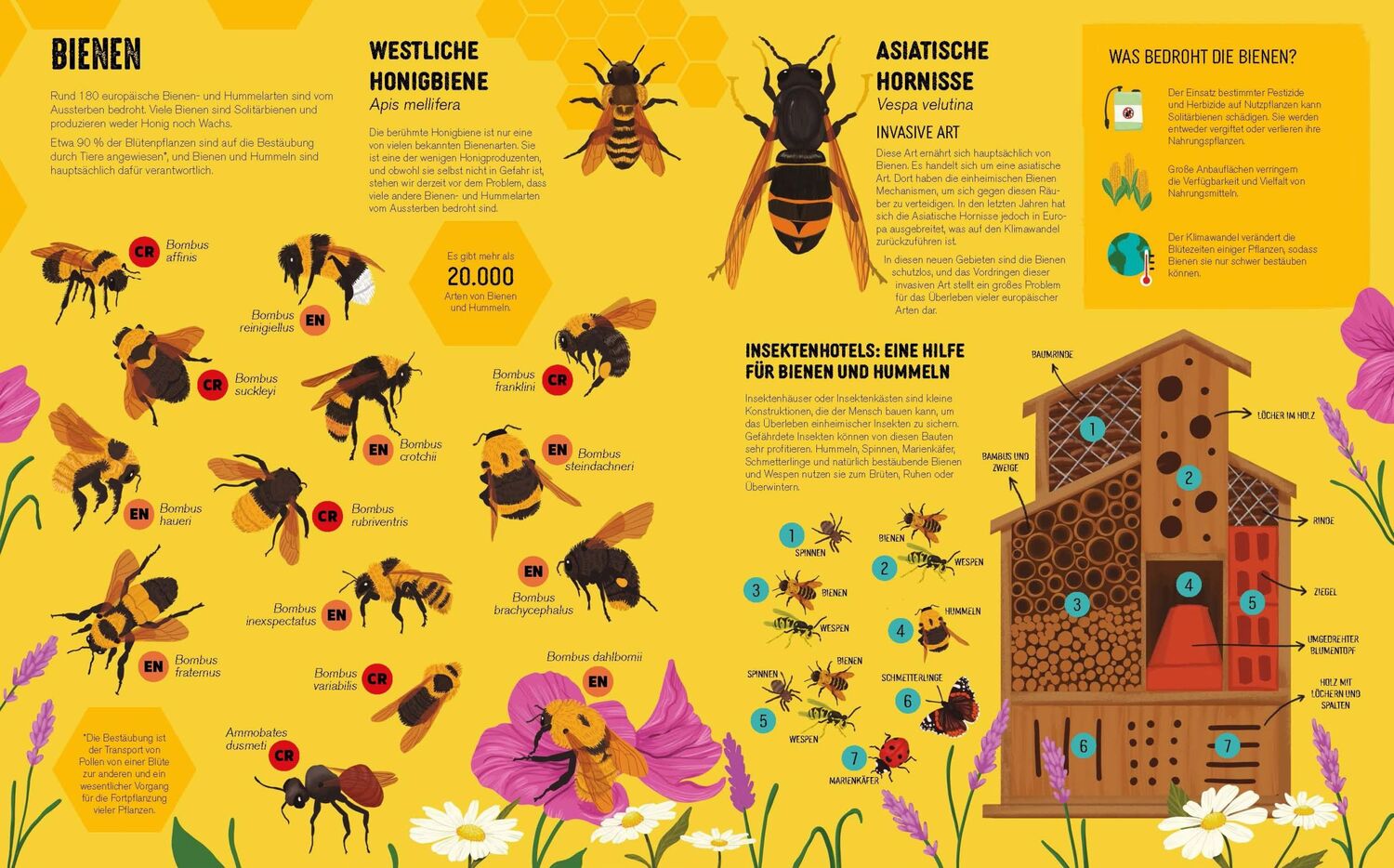 Bild: 9783038762737 | Atlas der bedrohten Tiere | Die rote Liste der Weltnaturschutzunion