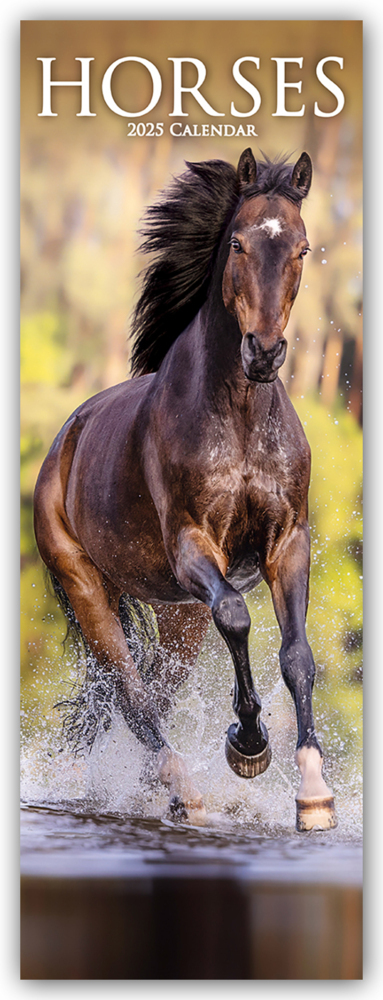 Cover: 9781804605264 | Horses - Pferde 2025 | Avonside Publishing Ltd | Kalender | 14 S.