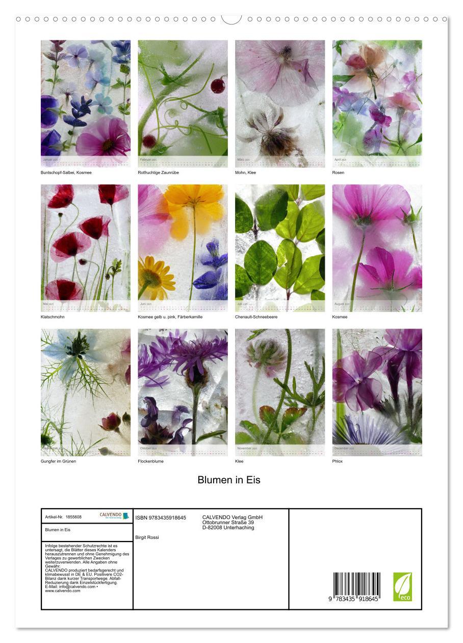 Bild: 9783435918645 | Blumen in Eis (Wandkalender 2025 DIN A2 hoch), CALVENDO Monatskalender