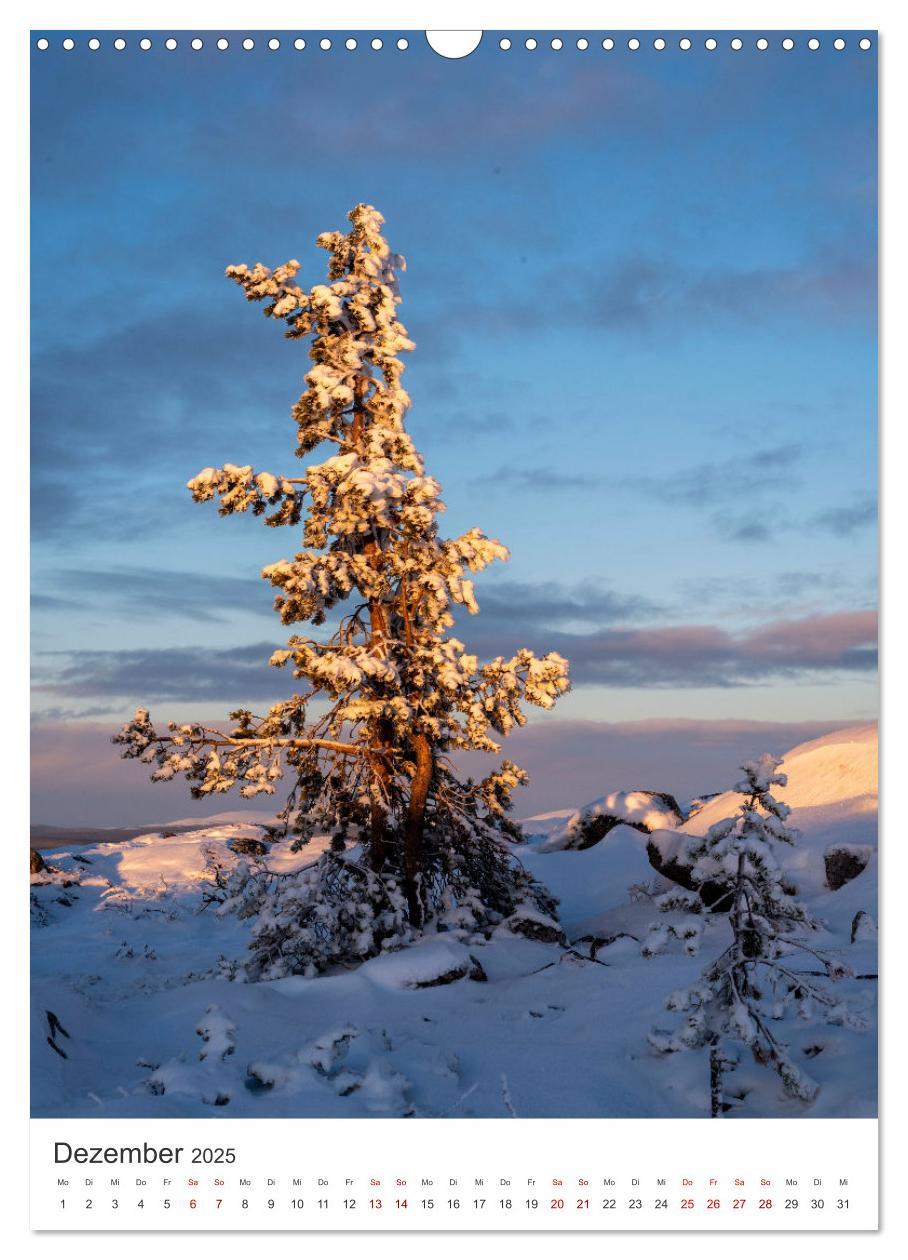 Bild: 9783435886258 | Winter in Lappland - Bezaubernde Schönheit (Wandkalender 2025 DIN...