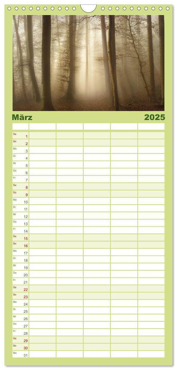 Bild: 9783457117453 | Familienplaner 2025 - Mysterium Wald mit 5 Spalten (Wandkalender,...