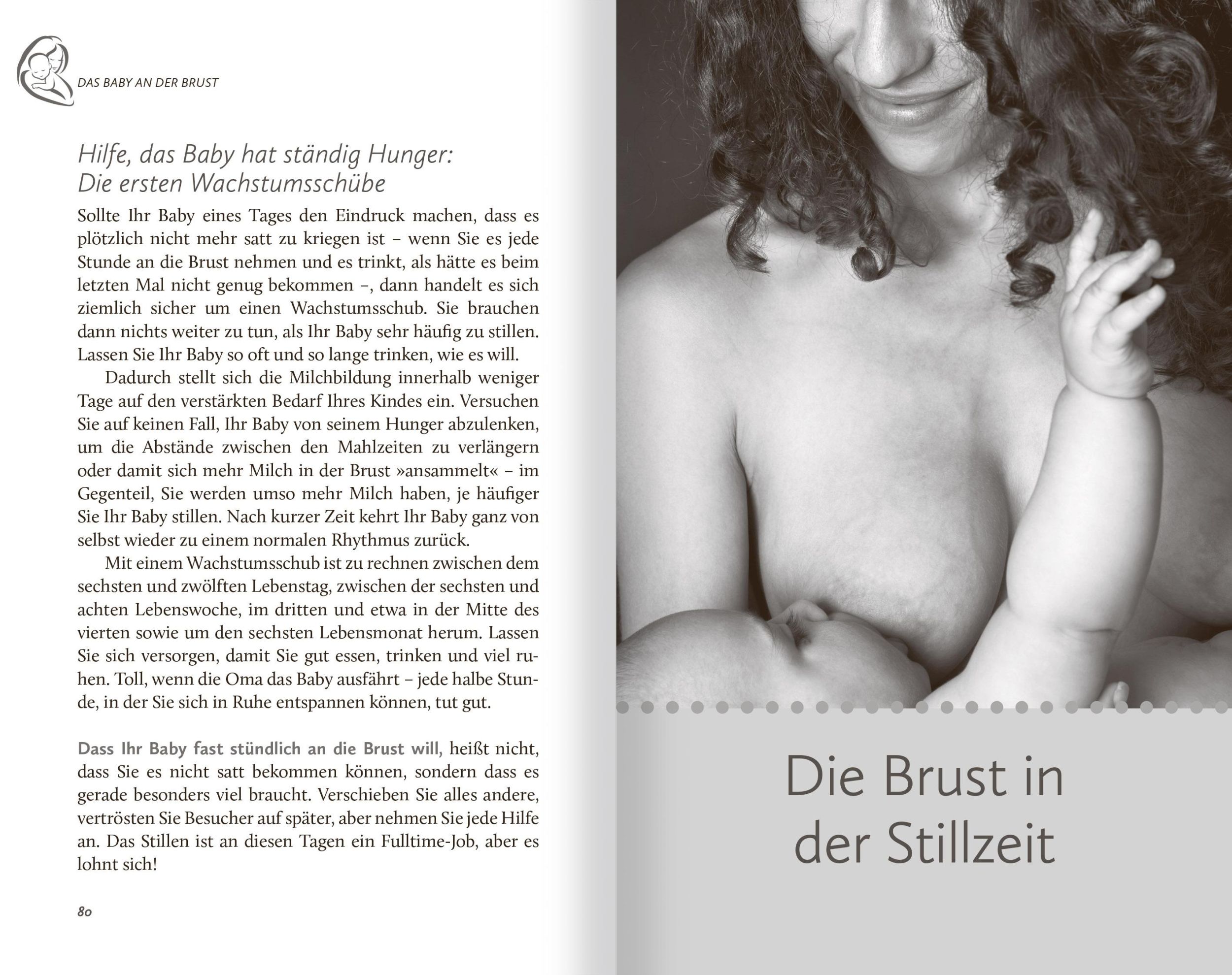 Bild: 9783863745325 | Stillen | Vivian Weigert | Taschenbuch | 240 S. | Deutsch | 2019