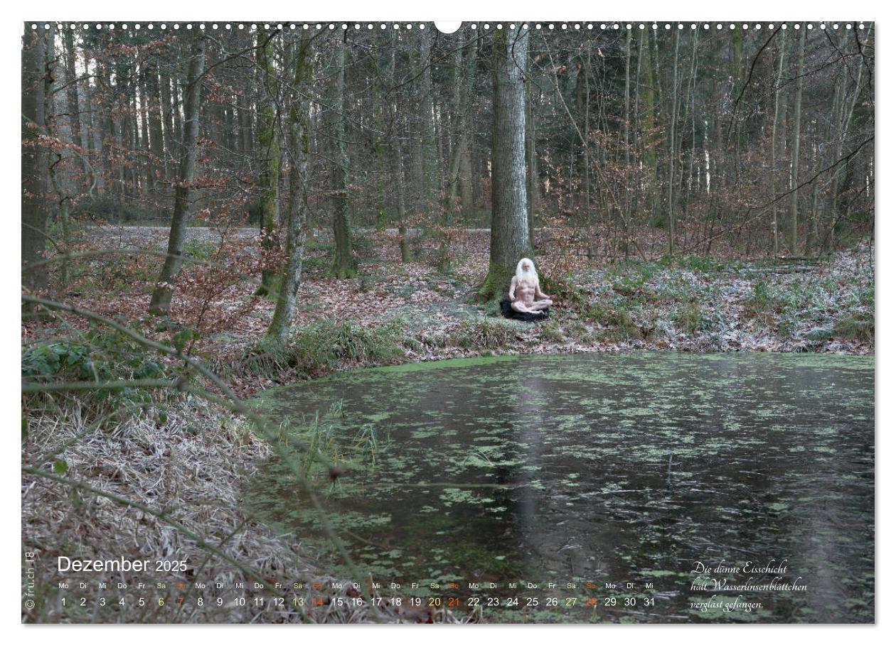 Bild: 9783435291205 | HAIKU AM TEICH (Wandkalender 2025 DIN A2 quer), CALVENDO...