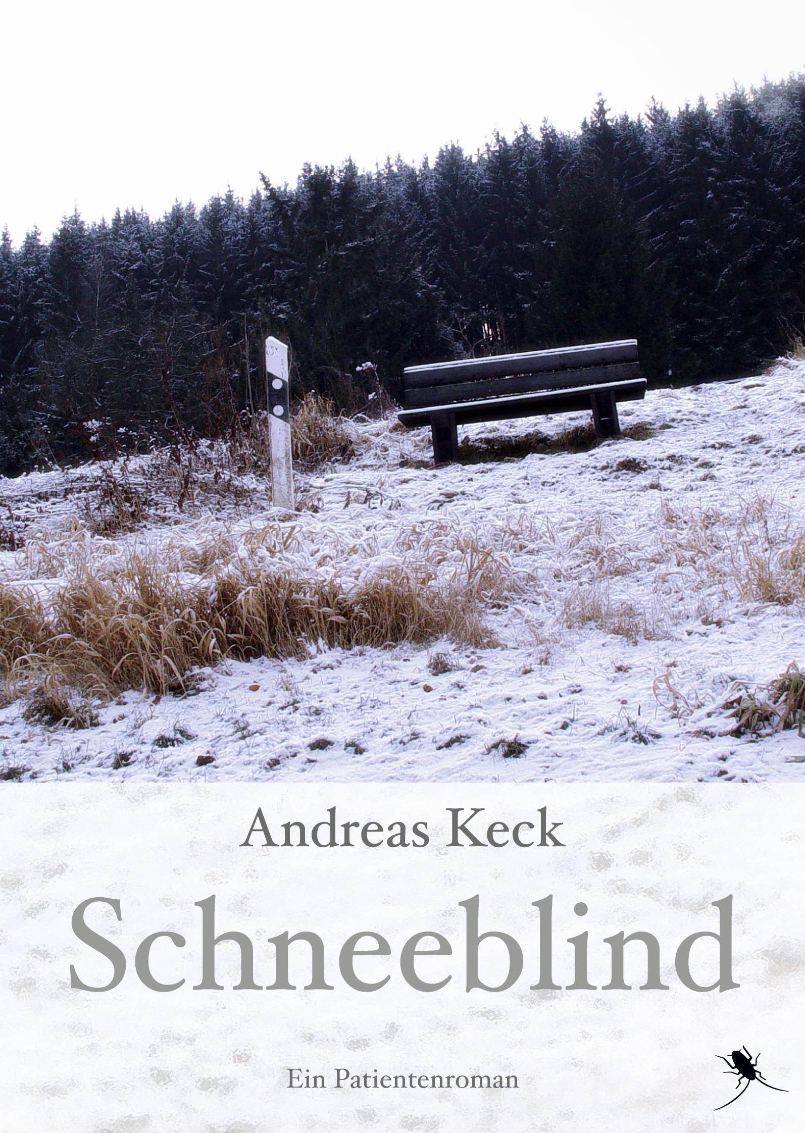 Cover: 9783959961769 | Schneeblind | Ein Patientenroman | Andreas Keck | Taschenbuch | 166 S.