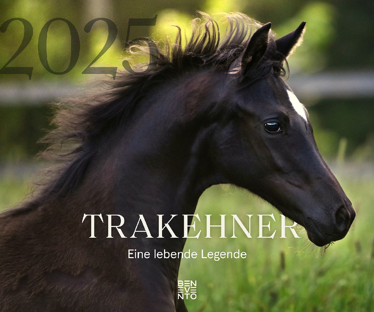 Cover: 9783710901782 | Trakehner 2025 | Kalender | 14 S. | Deutsch | 2025 | Benevento