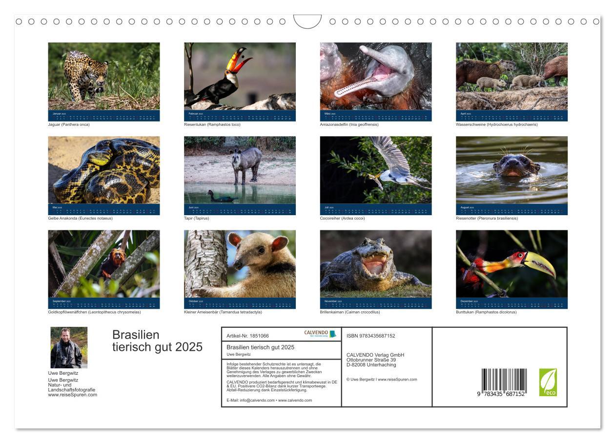 Bild: 9783435687152 | Brasilien tierisch gut 2025 (Wandkalender 2025 DIN A3 quer),...