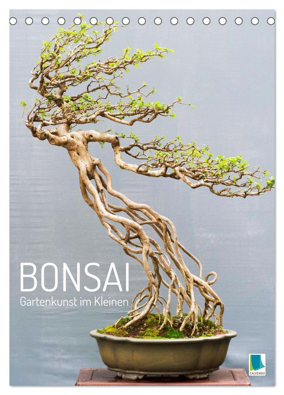 Cover: 9783435852345 | Bonsai: Gartenkunst im Kleinen (Tischkalender 2025 DIN A5 hoch),...