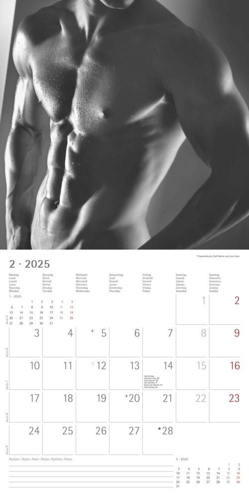 Bild: 4251732343095 | Alpha Edition - Masculine 2025 Broschürenkalender, 30x30cm,...