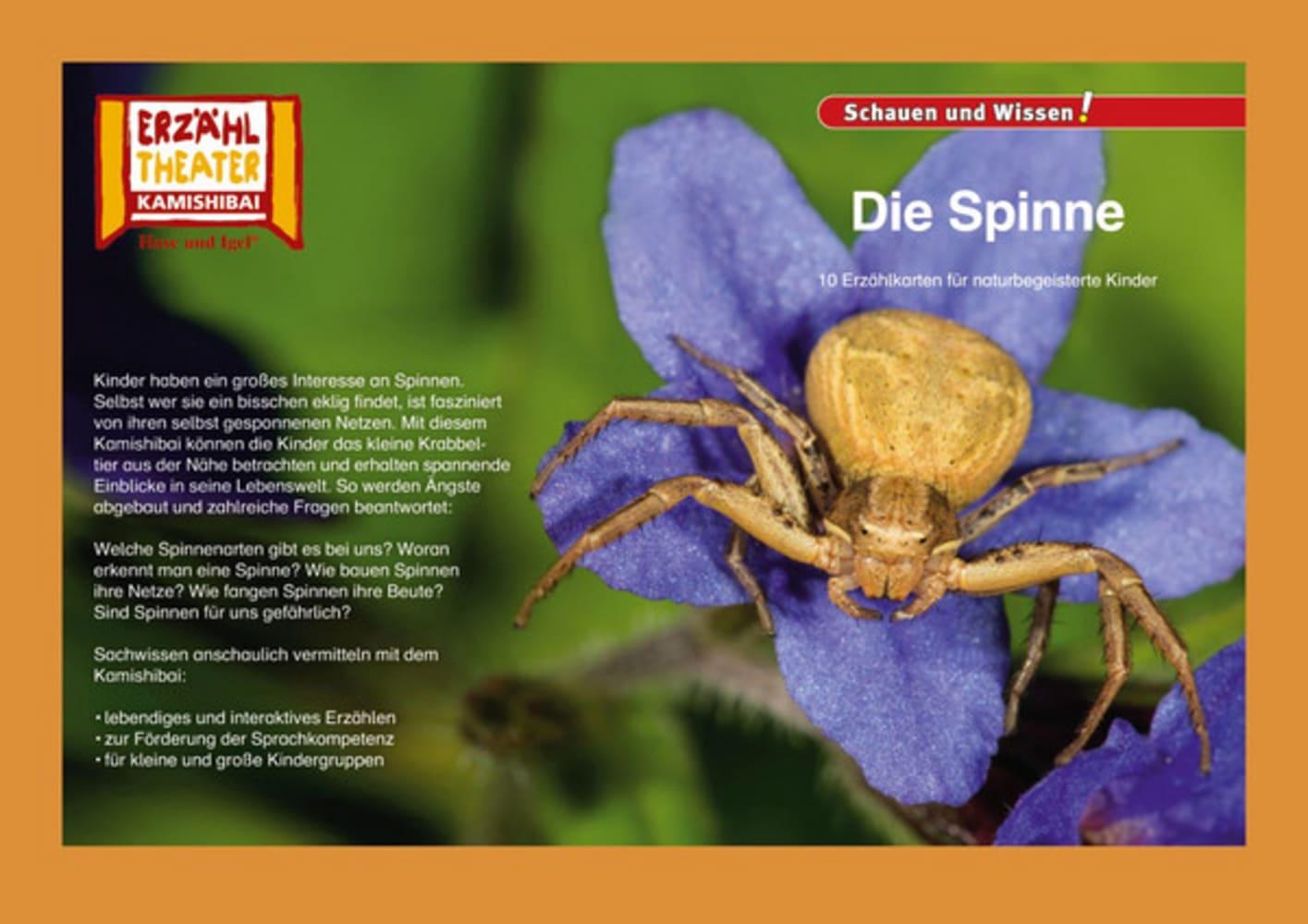 Cover: 4260505830526 | Kamishibai: Die Spinne | 10 Fotobildkarten für das Erzähltheater | Box