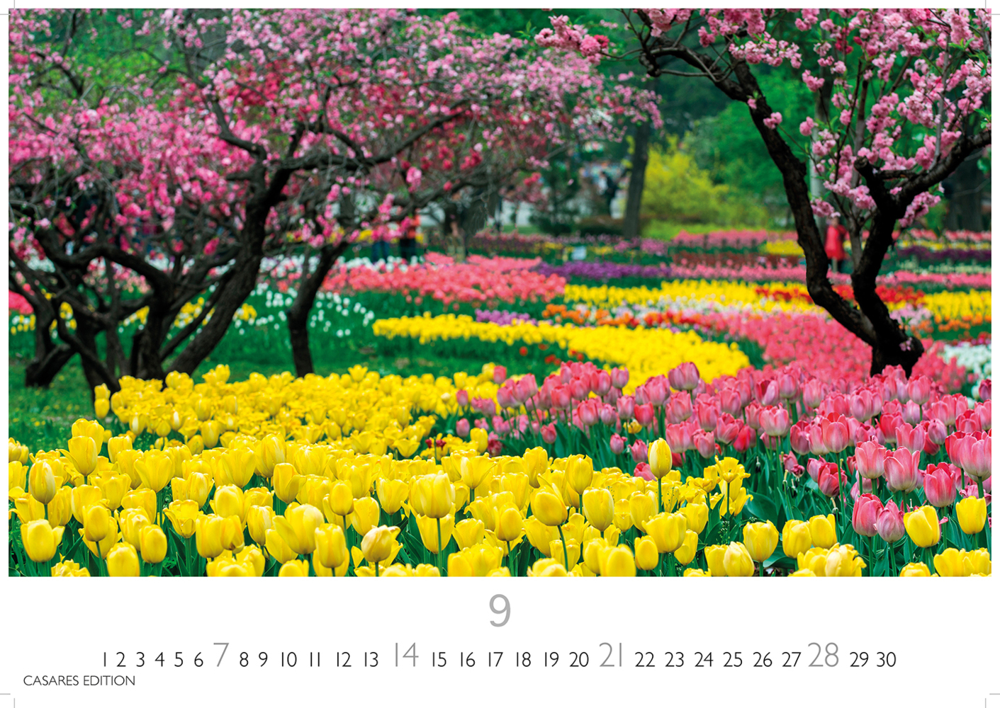 Bild: 9781835242247 | Gartenparadiese 2025 L 35x50cm | Kalender | 14 S. | Deutsch | 2025