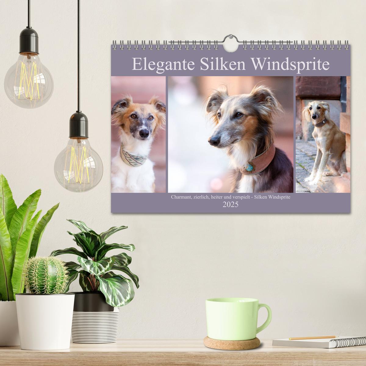 Bild: 9783435228638 | Elegante Silken Windsprite (Wandkalender 2025 DIN A4 quer),...