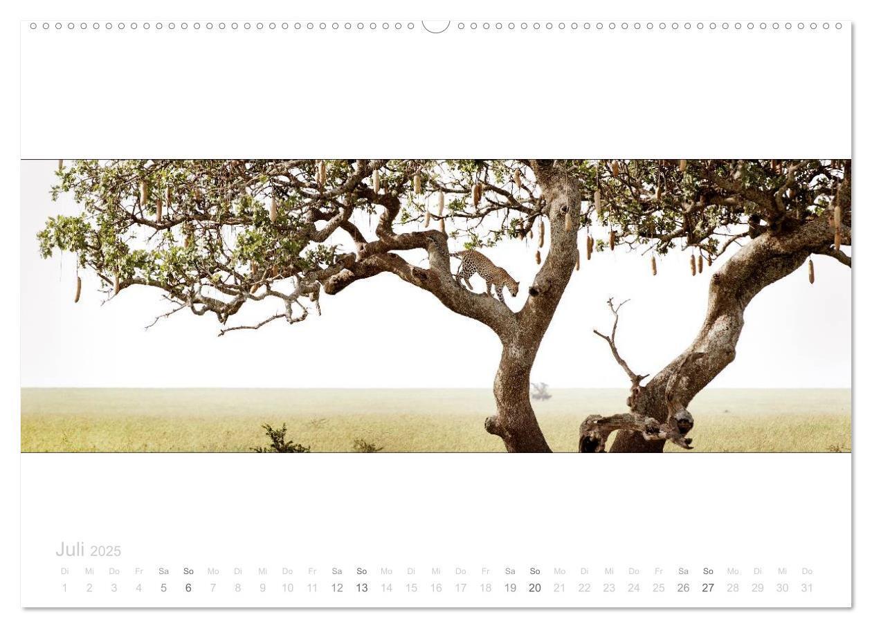 Bild: 9783435685547 | Serengeti Panorama (hochwertiger Premium Wandkalender 2025 DIN A2...