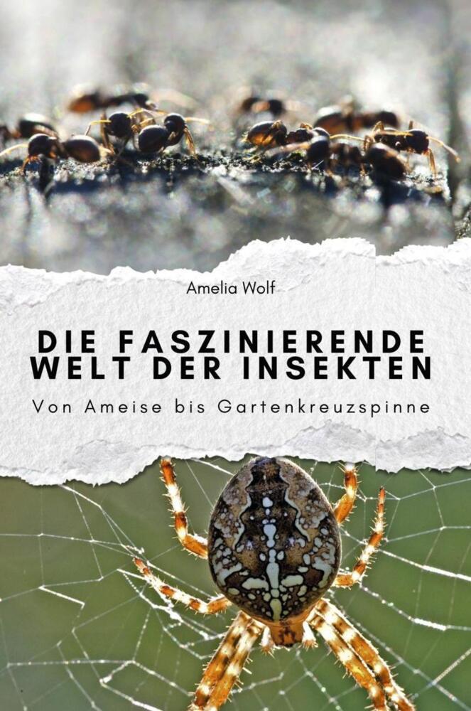 Cover: 9783759112347 | Die faszinierende Welt der Insekten - Das perfekte Geschenk für...