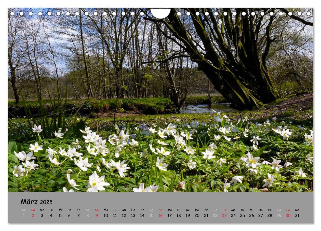 Bild: 9783435679232 | Lüneburger Heide - schön zu jeder Jahreszeit (Wandkalender 2025 DIN...