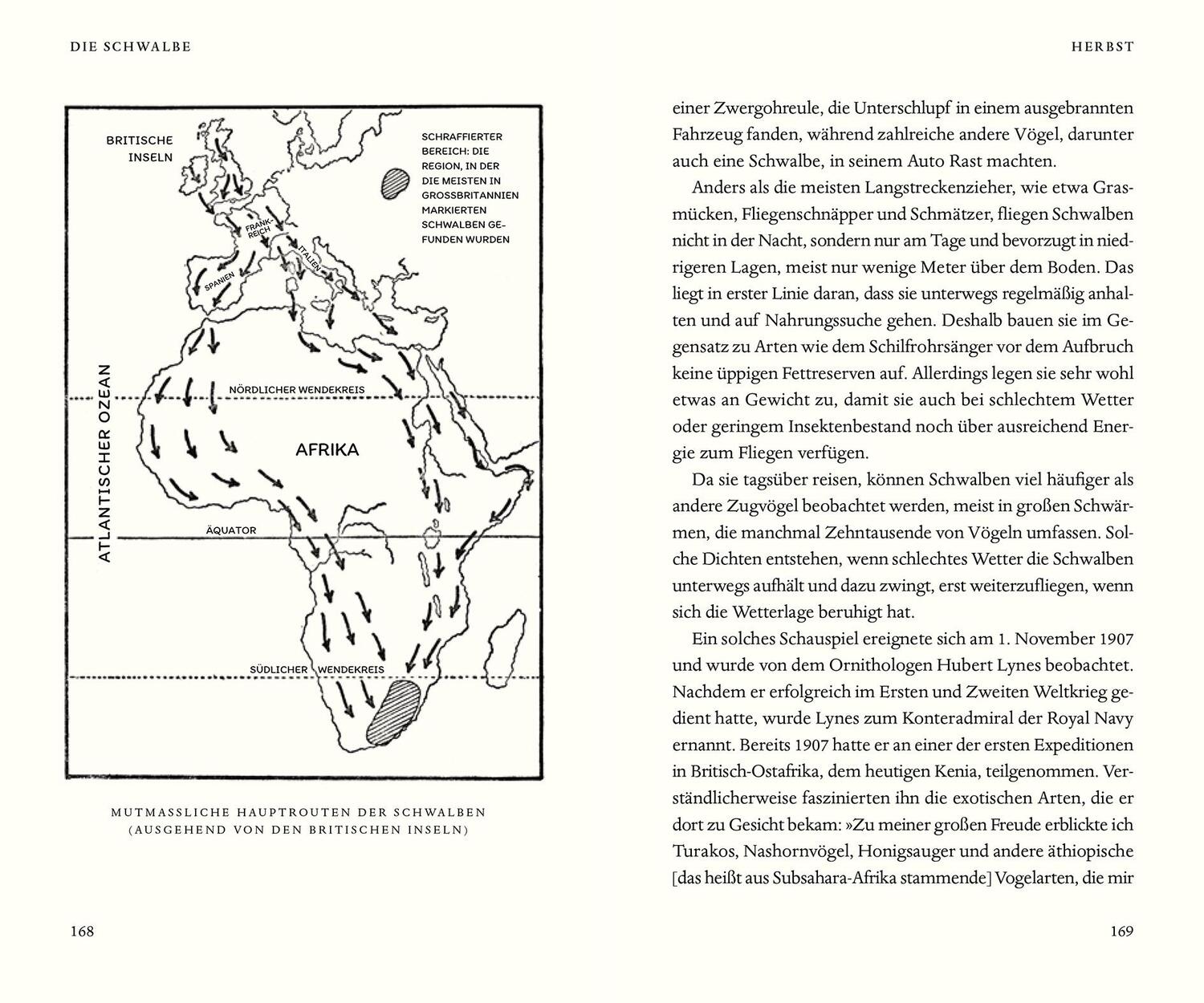 Bild: 9783832180058 | Über die Schwalbe | Stephen Moss | Buch | 224 S. | Deutsch | 2021