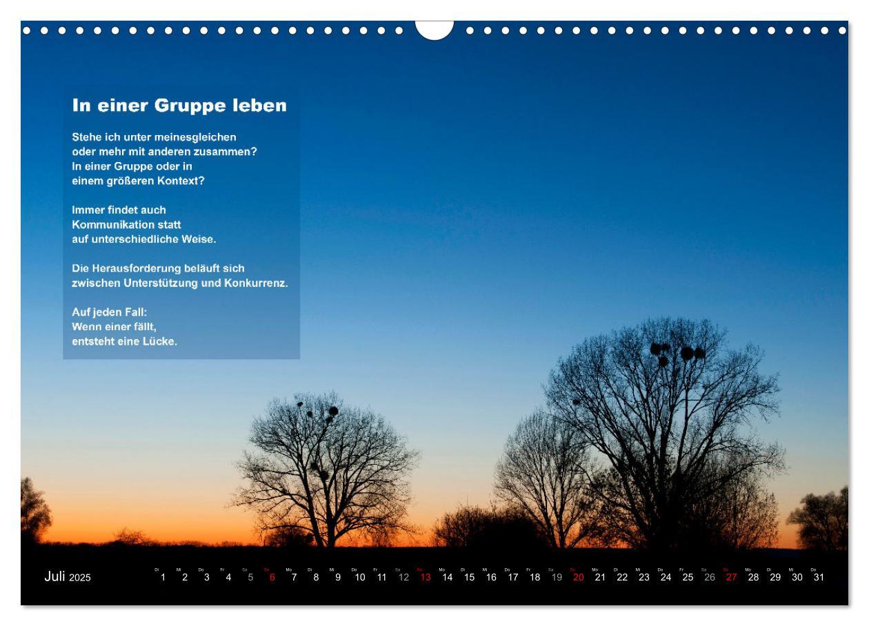 Bild: 9783383886553 | Stehen wie ein Baum (Wandkalender 2025 DIN A3 quer), CALVENDO...