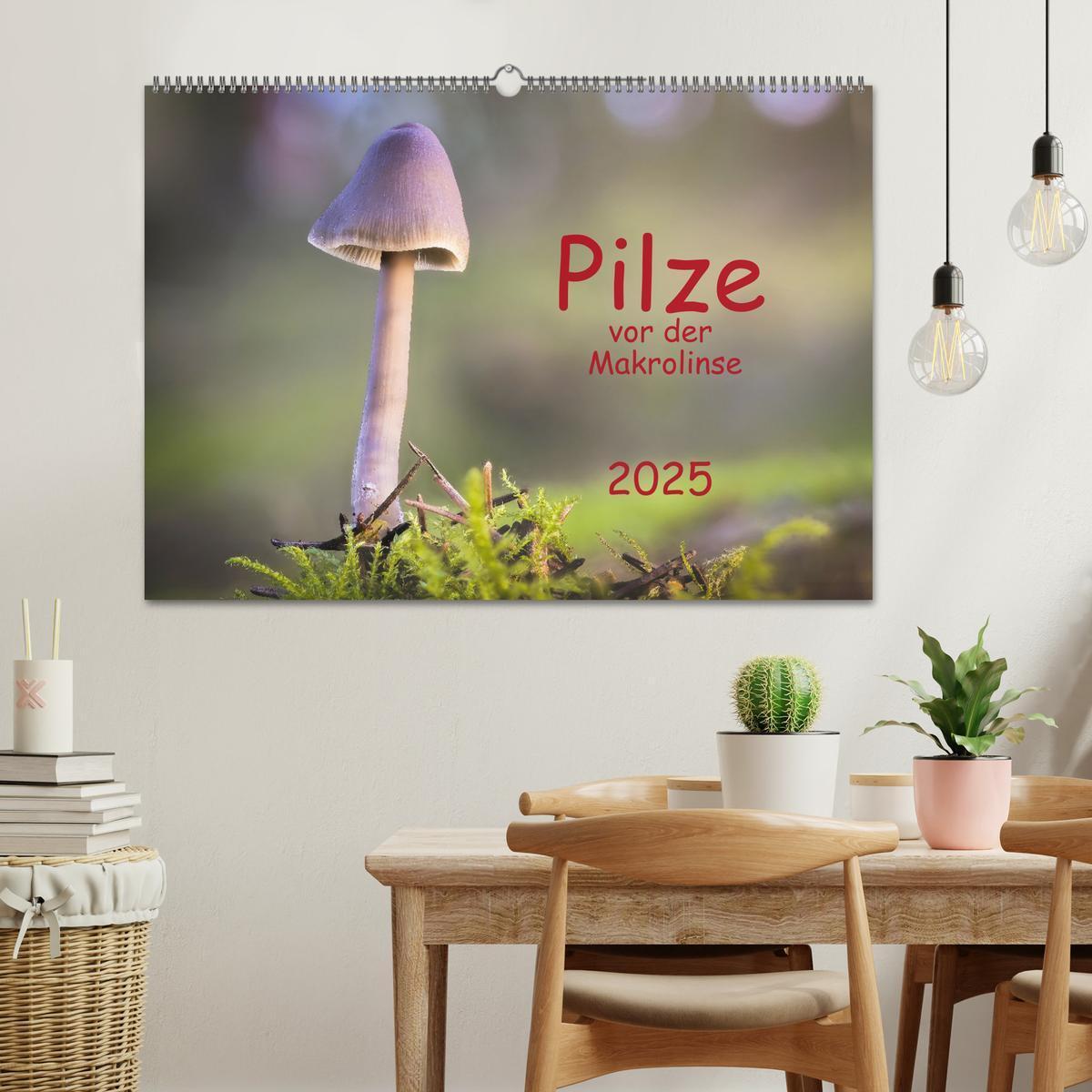 Bild: 9783383918247 | Pilze vor der Makrolinse 2025 (Wandkalender 2025 DIN A2 quer),...