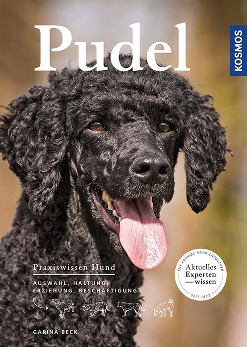 Cover: 9783440133033 | Pudel | Auswahl, Haltung, Erziehung, Beschäftigung | Carina Beck