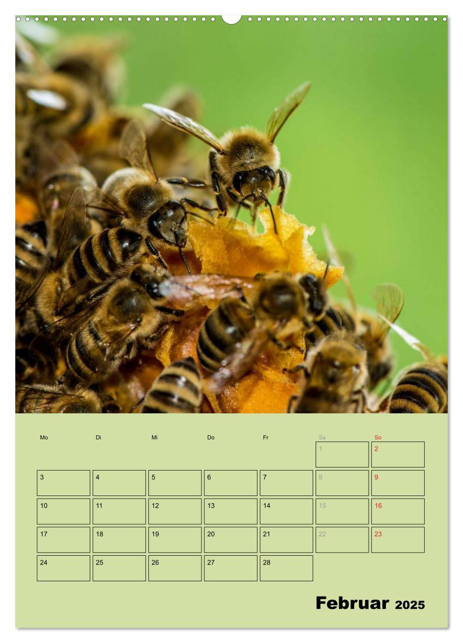 Bild: 9783457051443 | Bienenplaner (Wandkalender 2025 DIN A2 hoch), CALVENDO Monatskalender