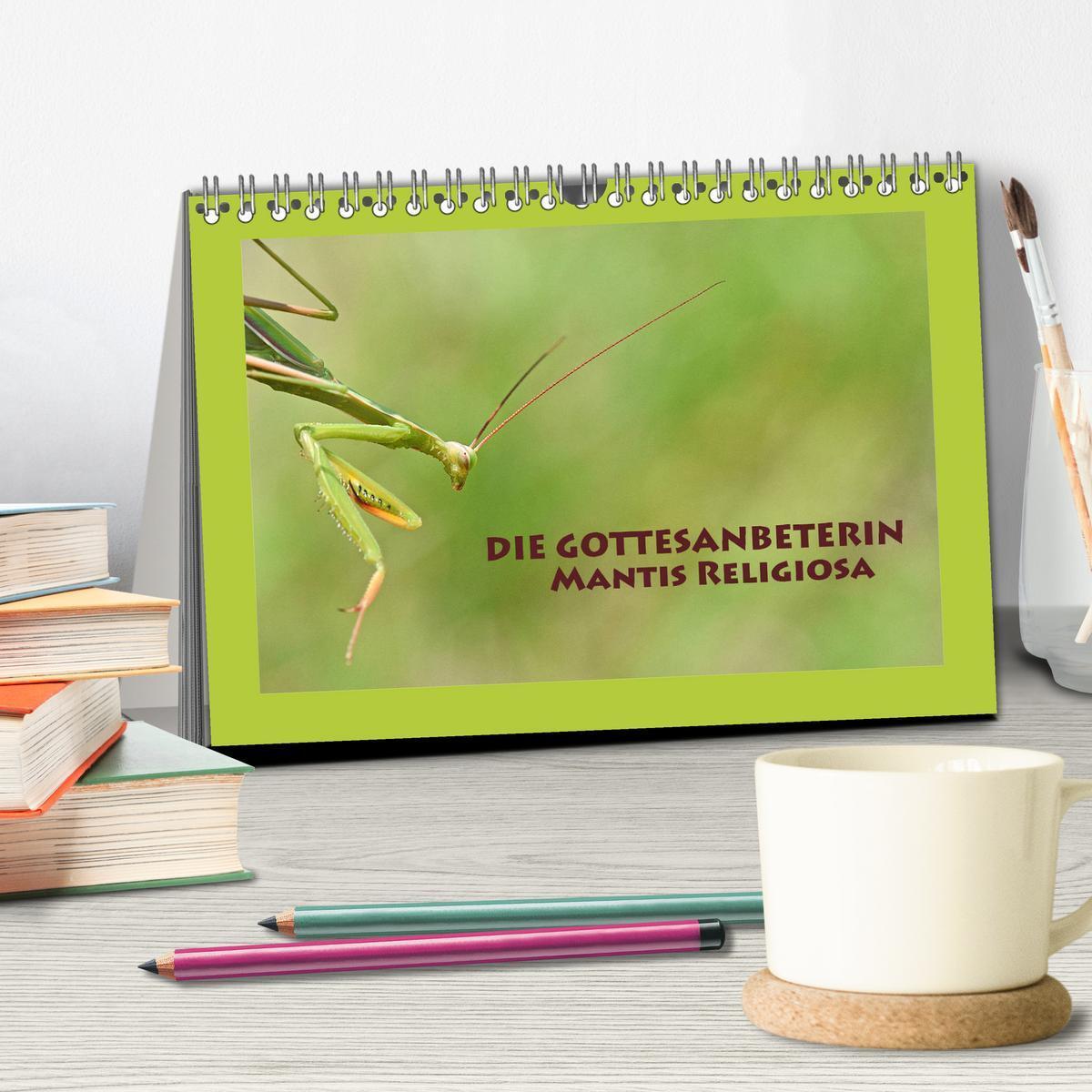 Bild: 9783435149483 | Die Gottesanbeterin Mantis Religiosa (Tischkalender 2025 DIN A5...