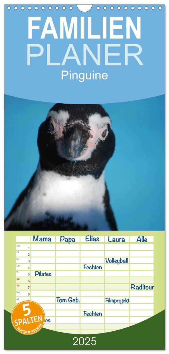 Cover: 9783457120293 | Familienplaner 2025 - Pinguine 2025 mit 5 Spalten (Wandkalender, 21...