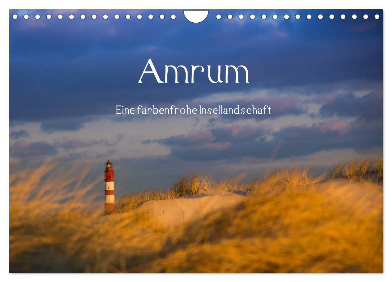 Cover: 9783435601738 | Amrum - Eine farbenfrohe Insellandschaft (Wandkalender 2025 DIN A4...