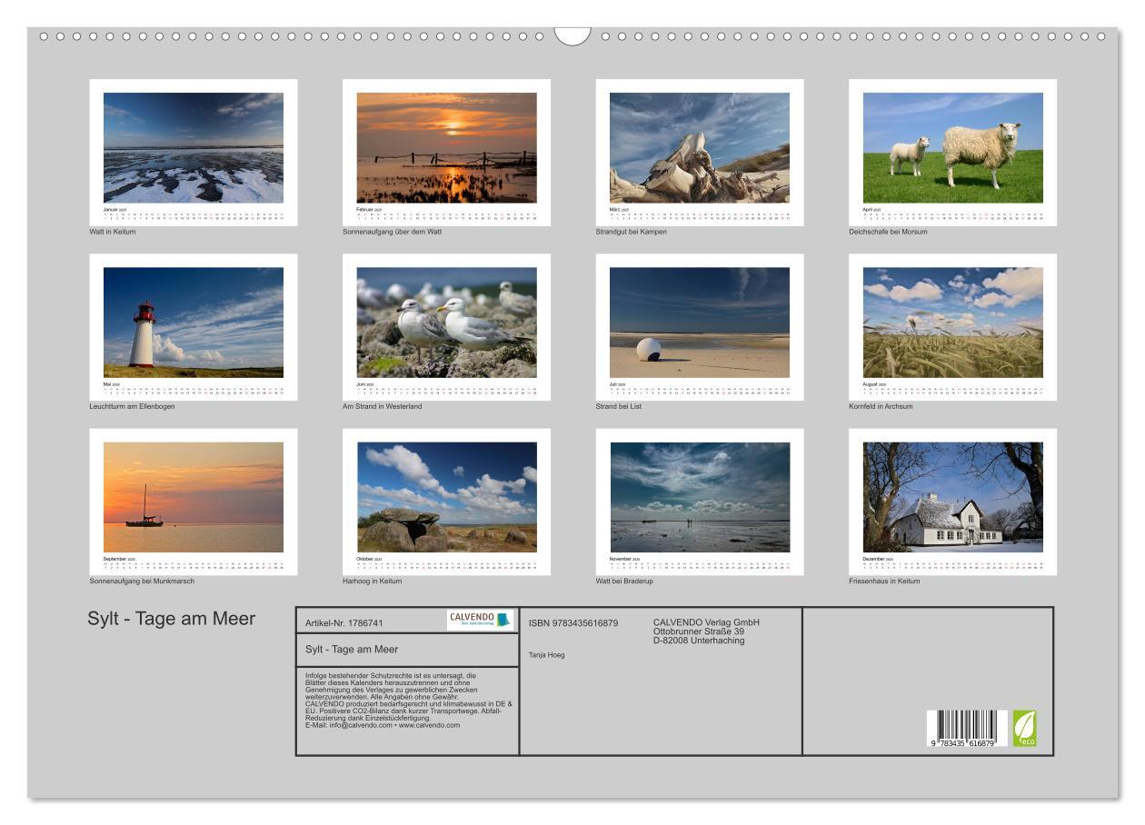 Bild: 9783435616879 | Sylt - Tage am Meer (Wandkalender 2025 DIN A2 quer), CALVENDO...