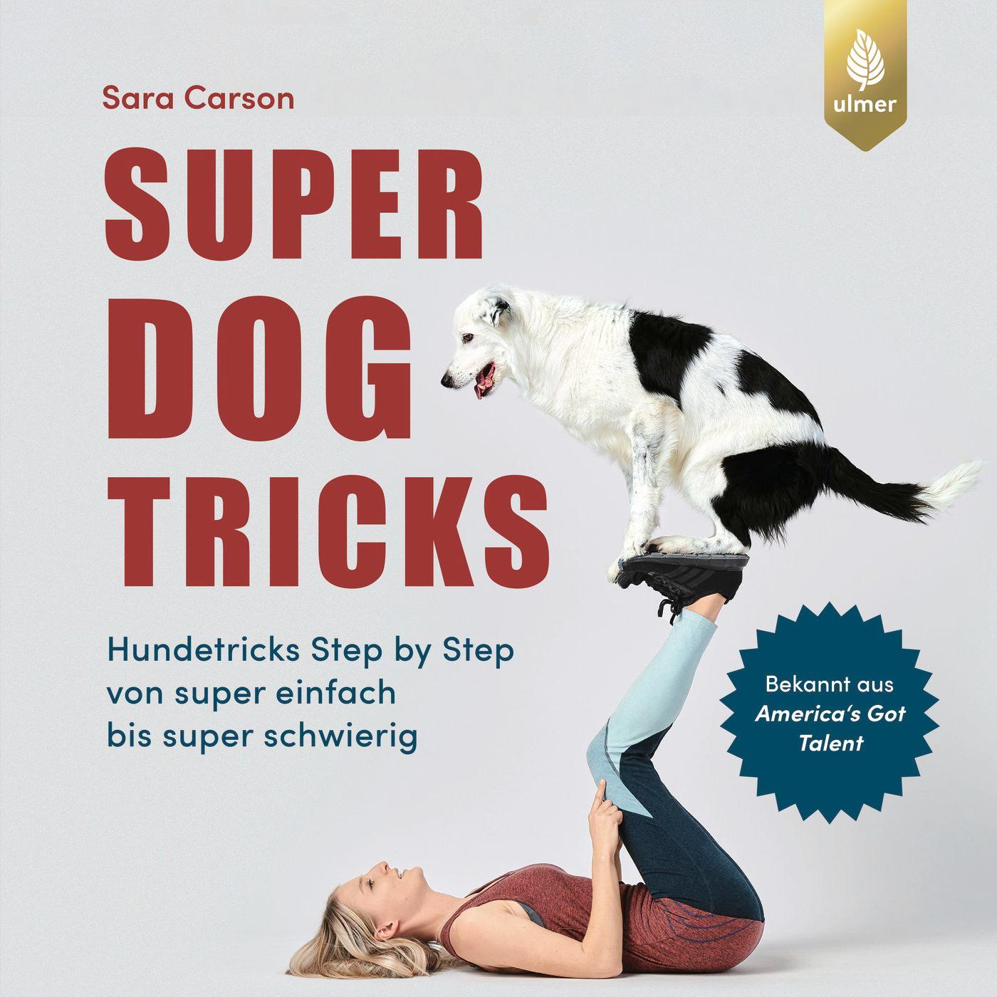 Cover: 9783818617615 | Super Dog Tricks | Sara Carson | Taschenbuch | 176 S. | Deutsch | 2023