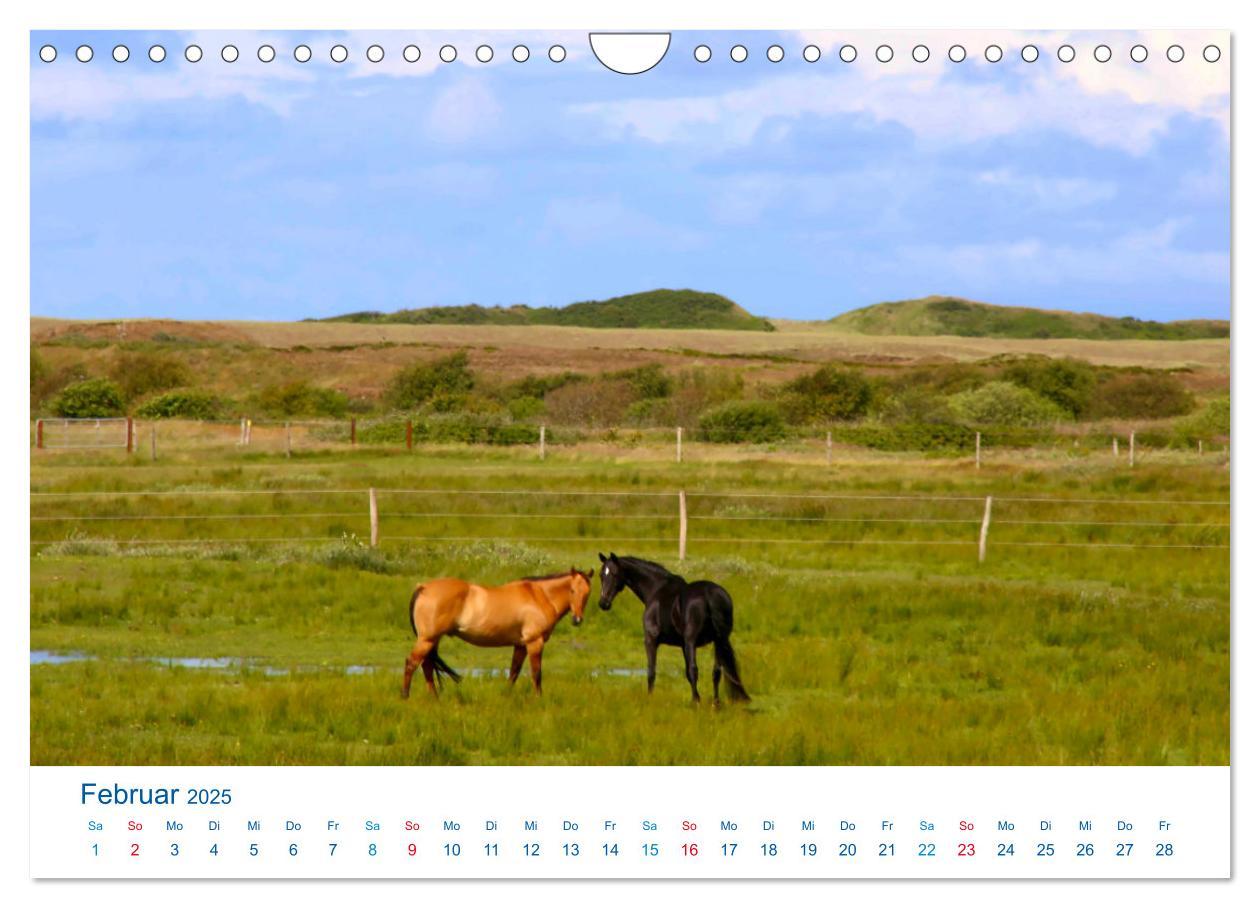 Bild: 9783457151358 | Langeoog 2025. Impressionen zwischen Hafen und Ostende...