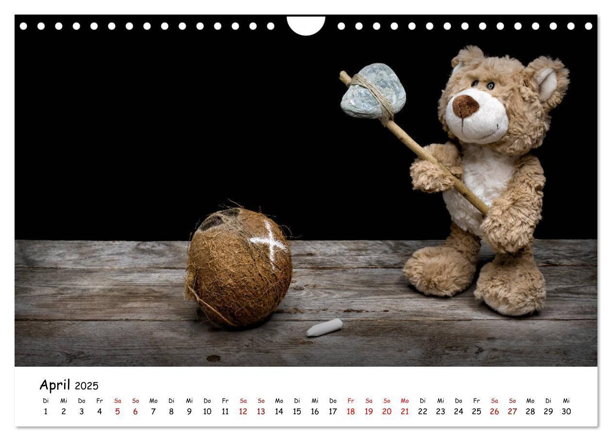 Bild: 9783435254767 | Eddy, der Teddy (Wandkalender 2025 DIN A4 quer), CALVENDO...