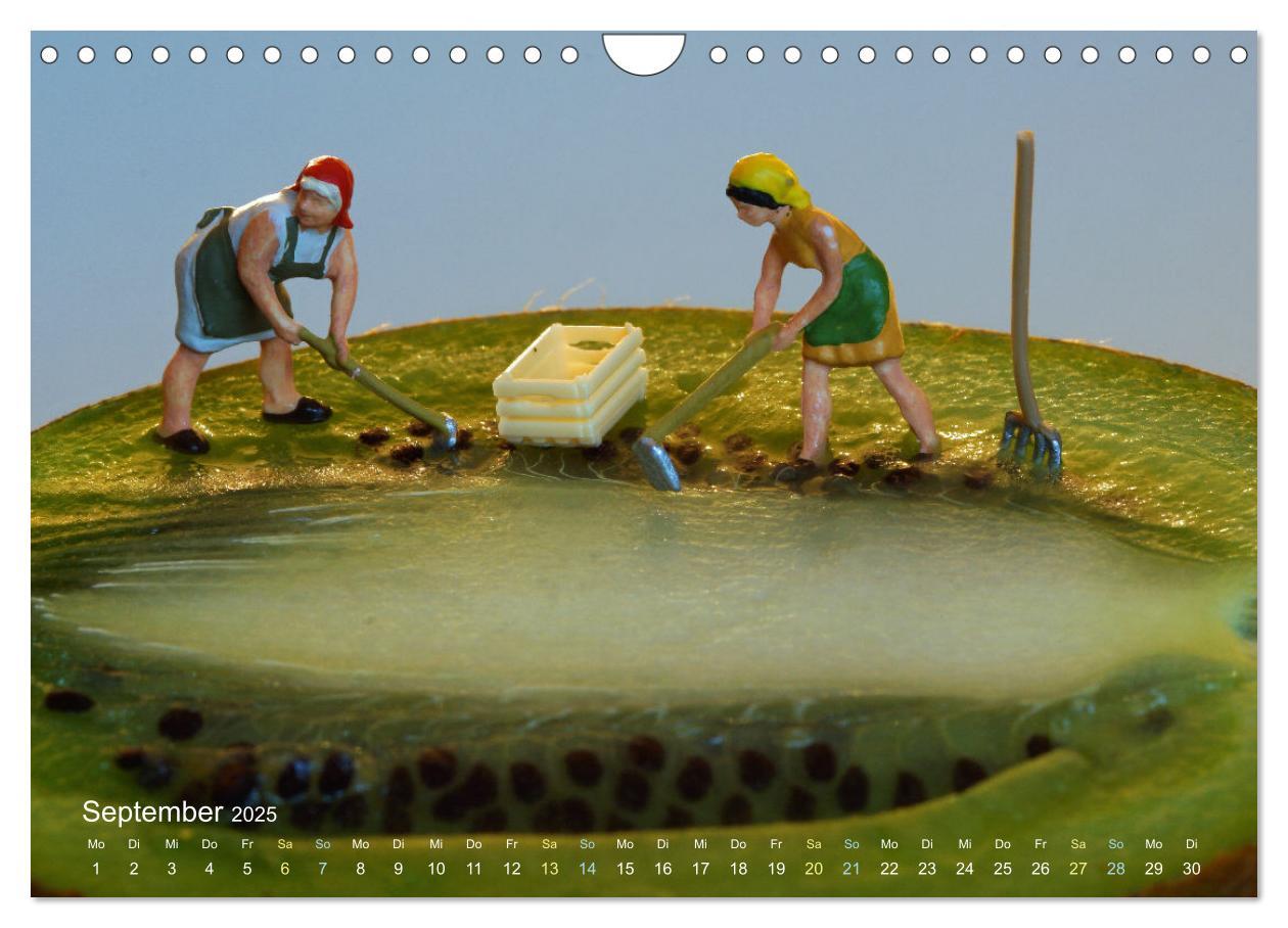 Bild: 9783457224397 | Das geheime Leben von Miniatur-Figuren (Wandkalender 2025 DIN A4...