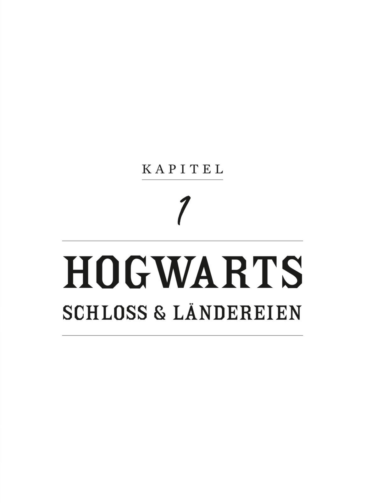 Bild: 9783845520360 | Aus den Filmen von Harry Potter und Phantastische Tierwesen: WHO IS...