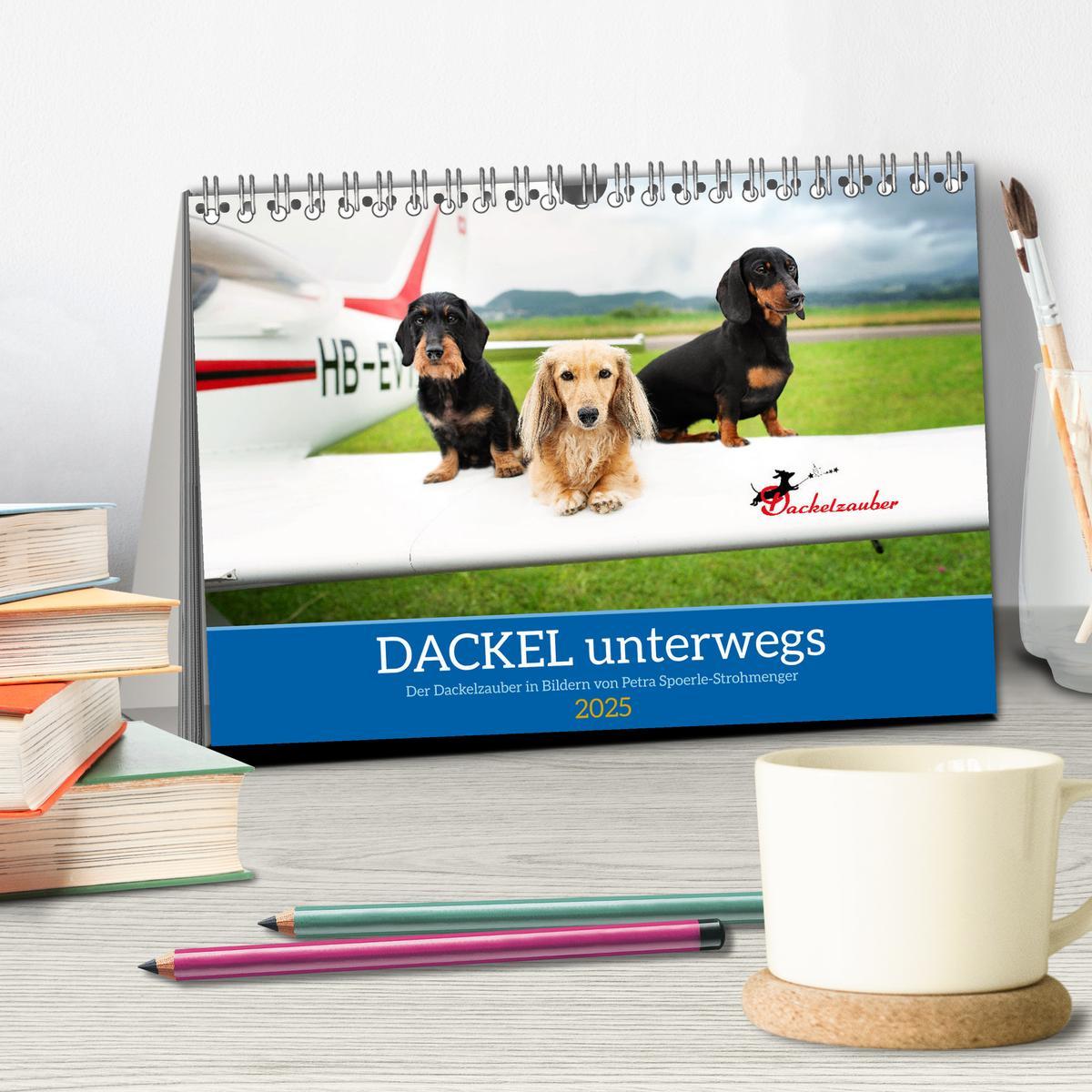 Bild: 9783457206454 | Dackel unterwegs (Tischkalender 2025 DIN A5 quer), CALVENDO...