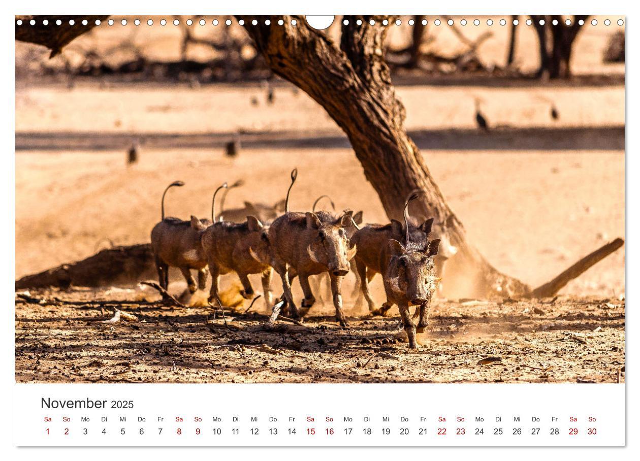 Bild: 9783383976902 | Namibia - Ein Paradies auf Erden. (Wandkalender 2025 DIN A3 quer),...