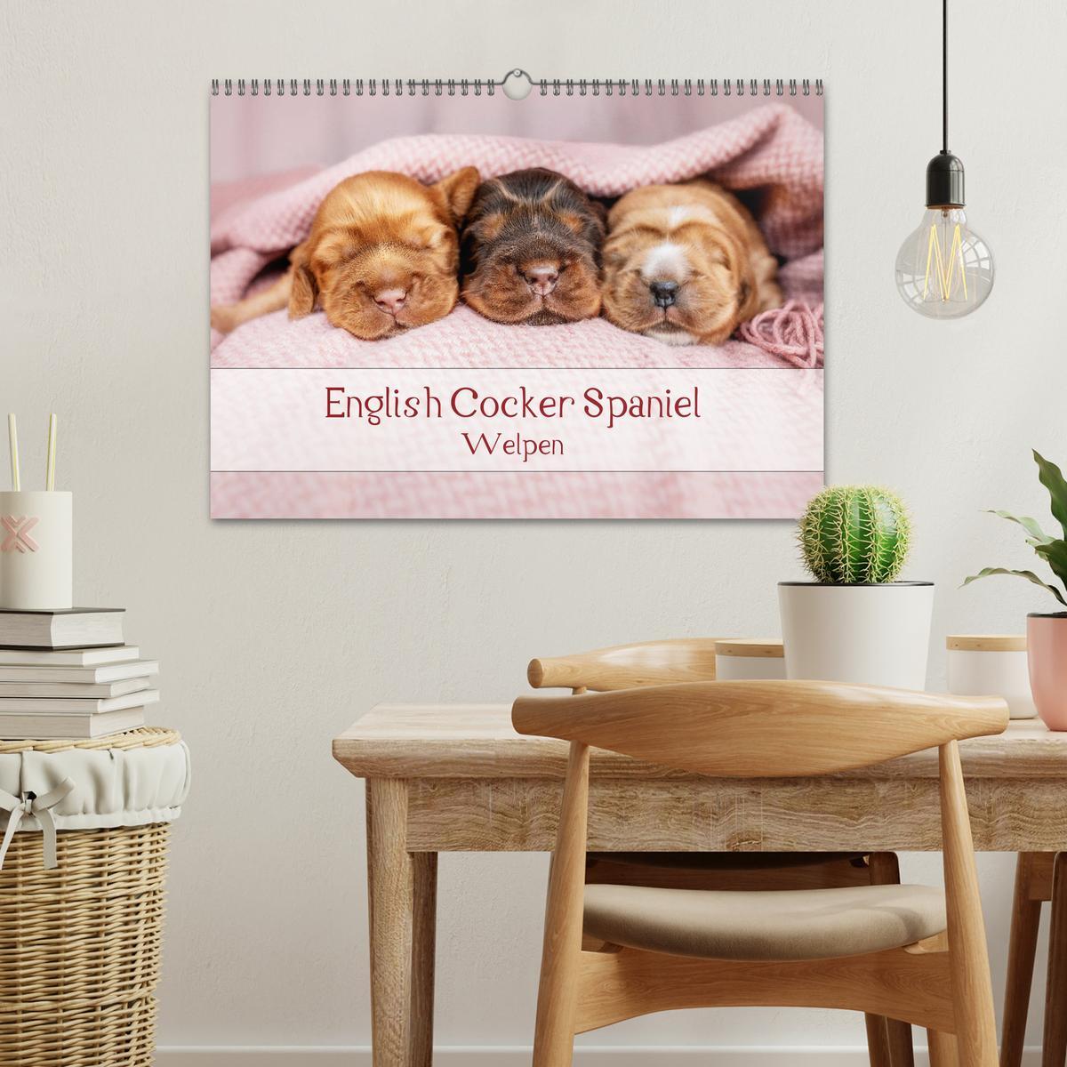 Bild: 9783435119509 | English Cocker Spaniel Welpen (Wandkalender 2025 DIN A3 quer),...