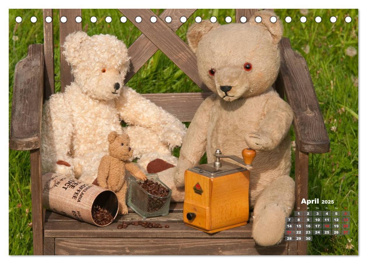 Bild: 9783435575251 | Geliebte Bären - Teddys (Tischkalender 2025 DIN A5 quer), CALVENDO...