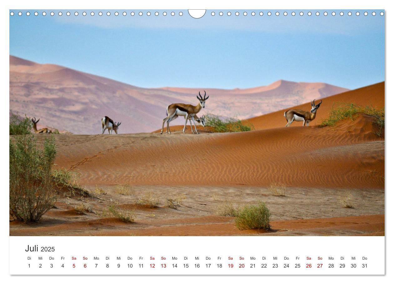 Bild: 9783383985300 | Namibia - Das wunderschöne Land am Atlantik. (Wandkalender 2025 DIN...