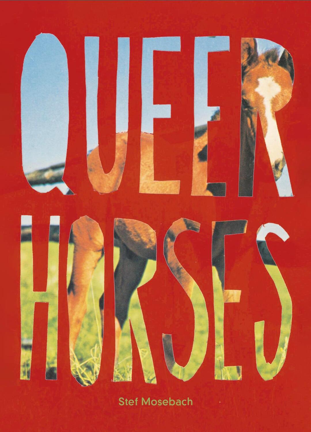 Cover: 9783987411366 | Queer Horses | Stefan Mosebach | Taschenbuch | 80 S. | Englisch | 2024