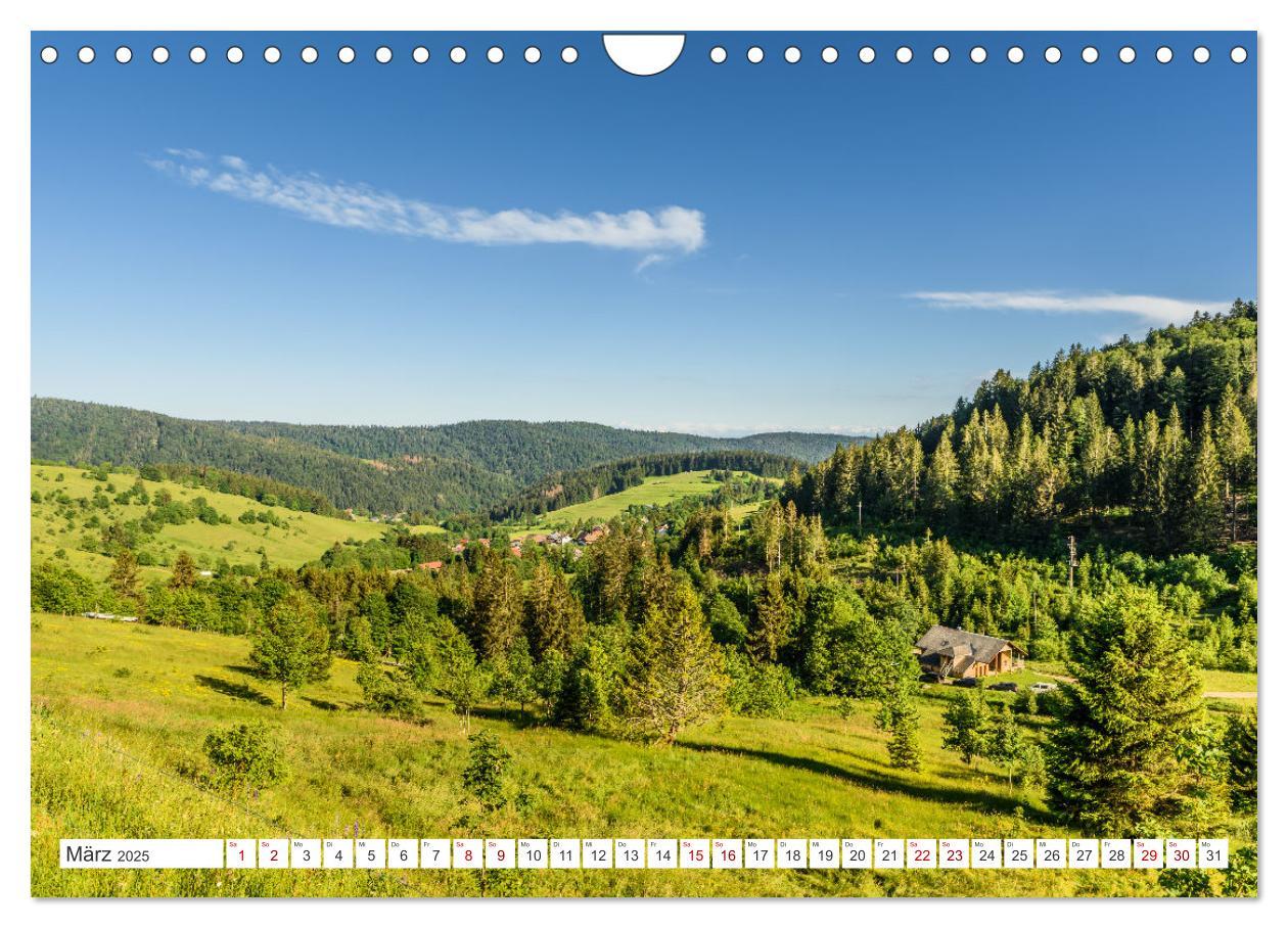 Bild: 9783435687831 | Schwarzwald (Wandkalender 2025 DIN A4 quer), CALVENDO Monatskalender