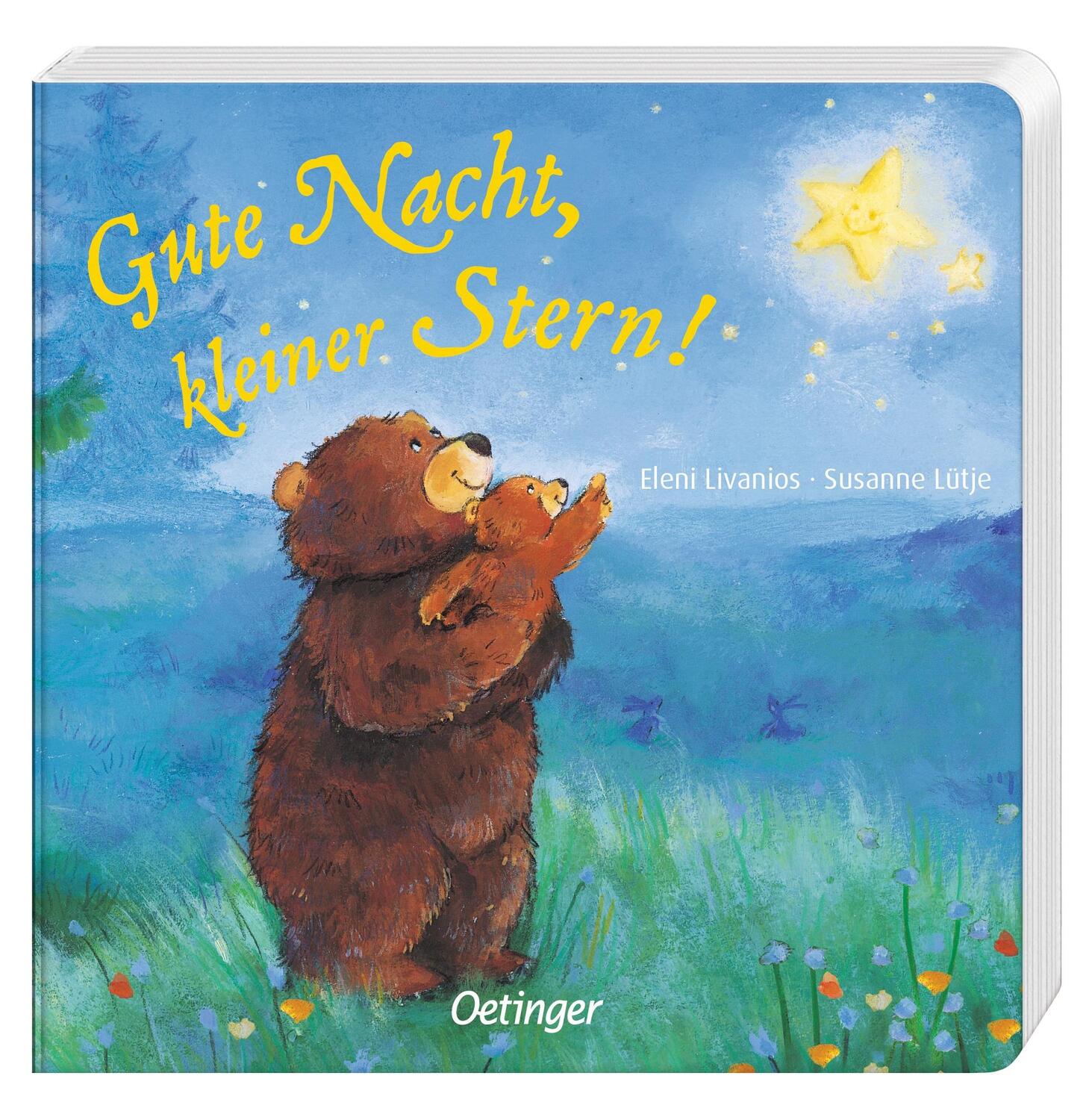 Bild: 9783789173523 | Gute Nacht, kleiner Stern! | ab 18 Monate | Susanne Lütje | Buch