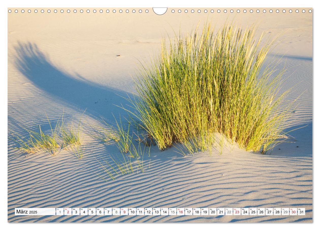 Bild: 9783435618415 | Amrum. Natur und Landschaften (Wandkalender 2025 DIN A3 quer),...